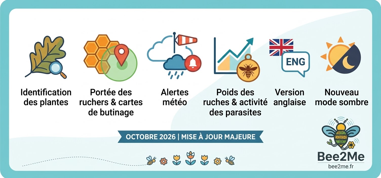 Bee2Me fait le plein de nouveautés grâce à ses bêta-testeurs : la grande mise à jour d'octobre !